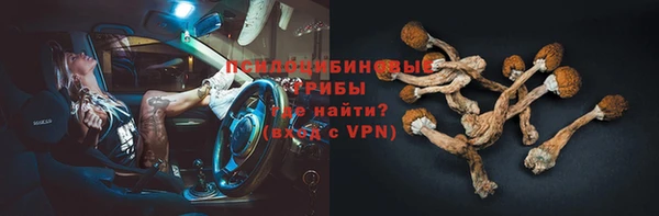 apvp Володарск