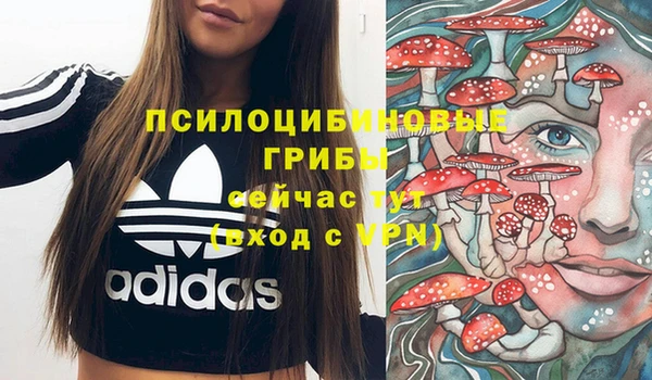 гашик Пролетарск