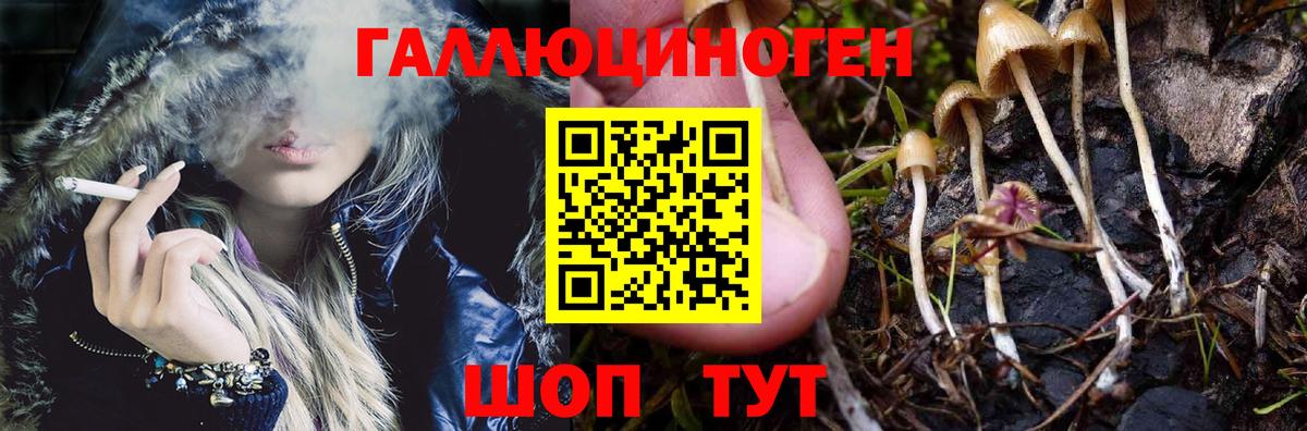 Галлюциногенные грибы мицелий  Вход с VPN  продажа наркотиков  Родники 